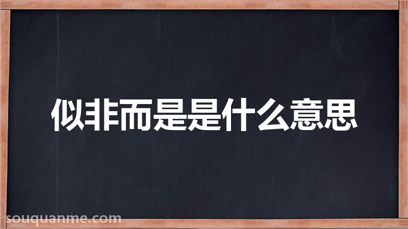 似非而是是什么意思 似非而是的拼音 似非而是的成语解释